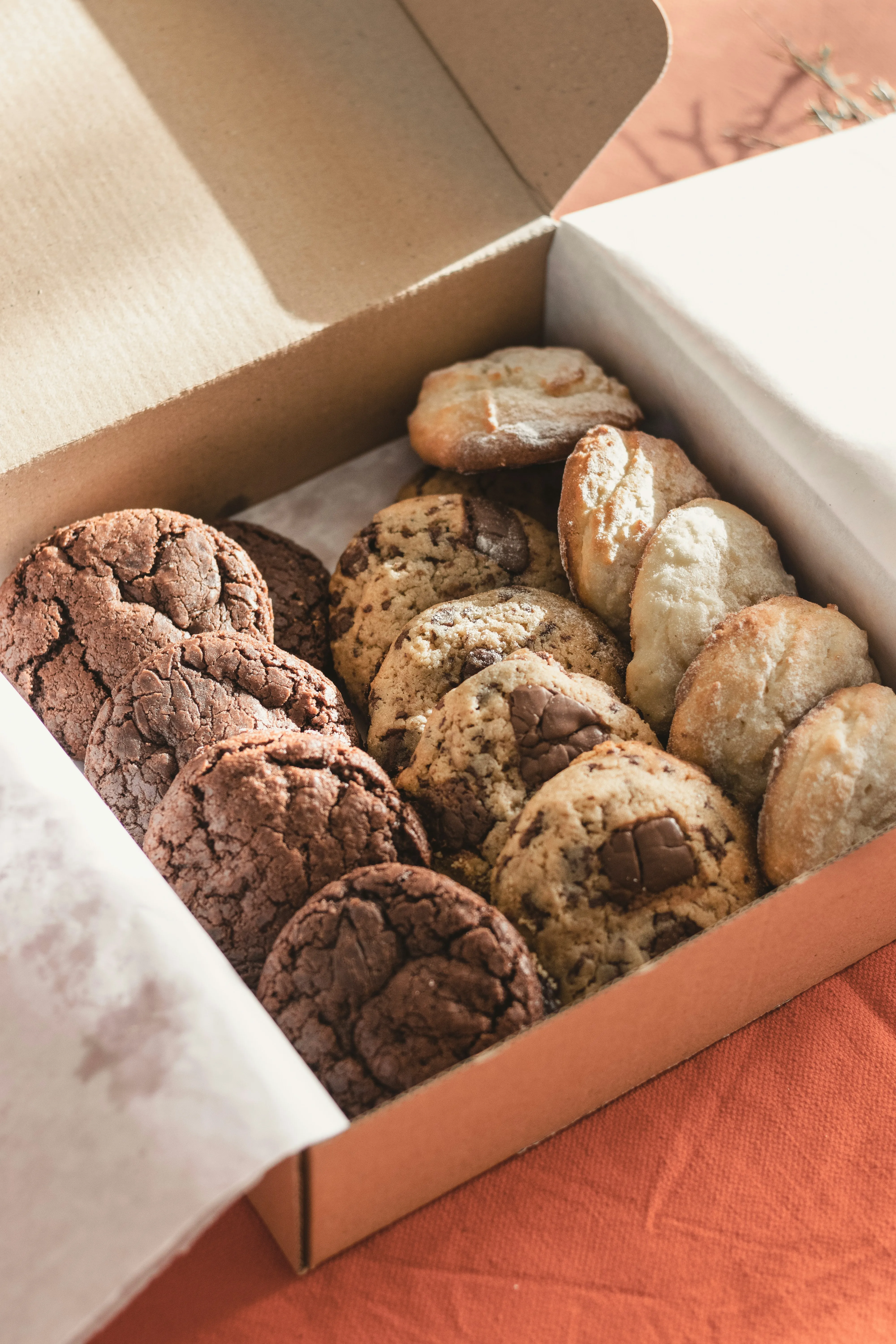 /images/bakery/minis/behnam-norouzi-P_s6gT2QDW8-unsplash.webp